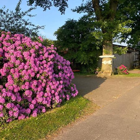 Unter Den Eichen Botersen Exterior foto