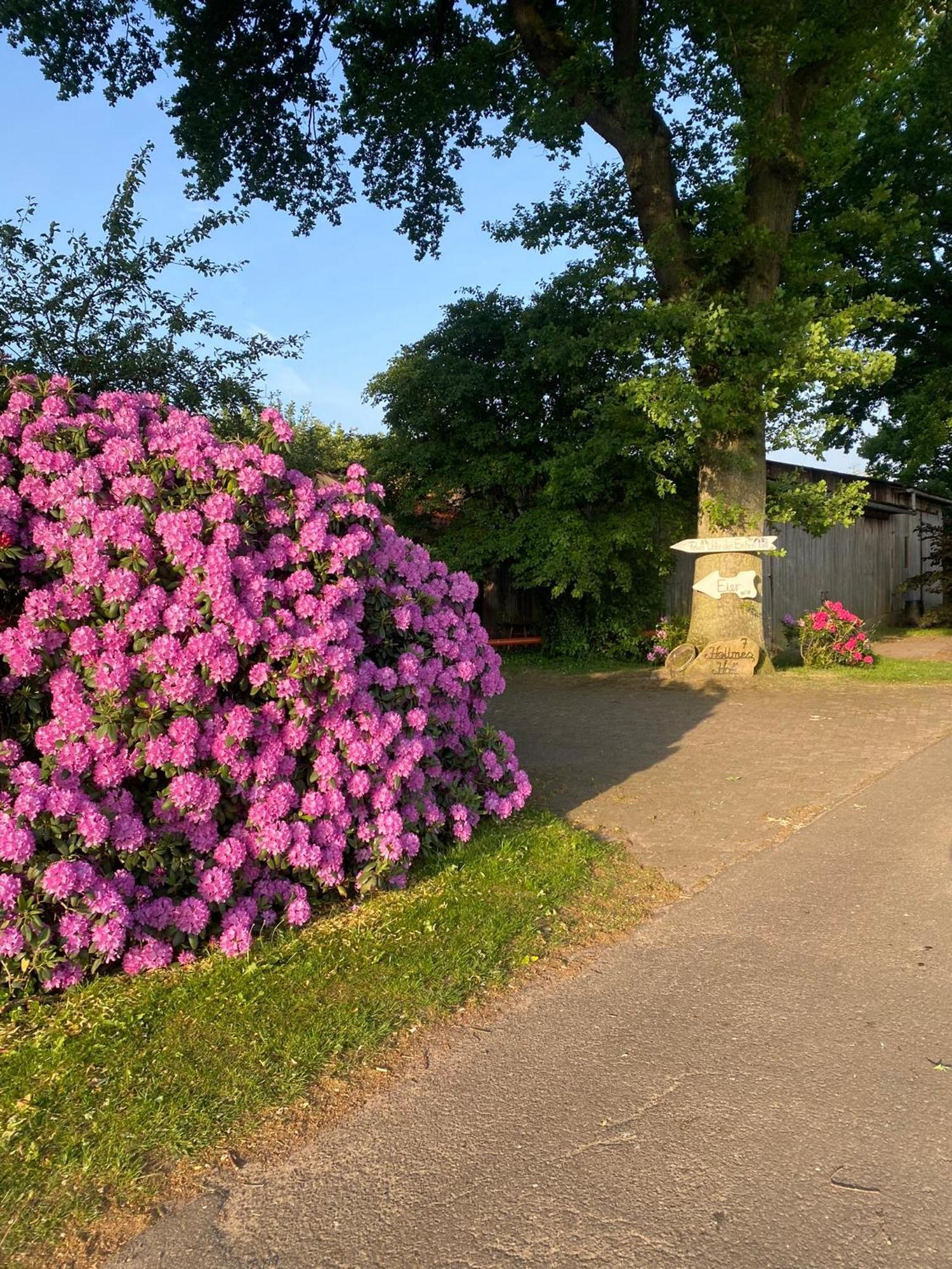 Unter Den Eichen Botersen Exterior foto